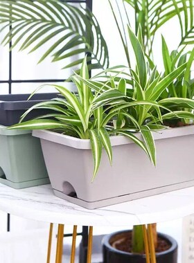 Balcony flower pot vegetable plant rectangular plastic box