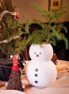 森空间小型雪人花盆玩偶摆件室内客厅桌面装饰美陈可爱风装饰摆设
