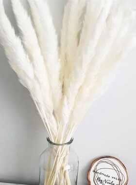Pampas Grass Decoration Fluffy Wedding Arrangement Decoratio