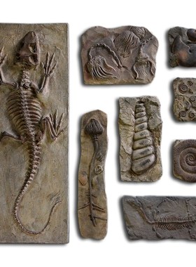 树脂仿真远古生物化石 创意墙面酒吧装饰品墙饰壁挂板文化墙