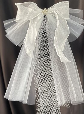White Bridal Theme Veil Short for Photos Pearl HeadpieceWhit
