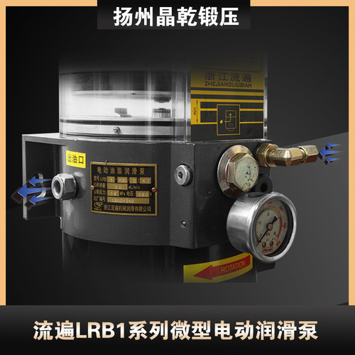浙江流遍LRB1-K20/2ZII电动油泵LRB1-K10/2Z1润滑泵LRB2-K30/3ZI - 图0