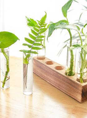 创意实木架透明试管水培植物绿萝花瓶插花容器办公桌面装饰品摆件
