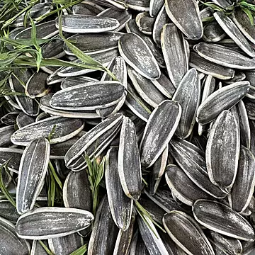 简滋助农原味炒瓜子大颗粒葵花籽[3元优惠券]-寻折猪