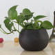 Flower pot ceramic large green radish succulent copper money grass hydroponic bowl lotus water lily basin fish tank breathable purple sand high small pottery basin
