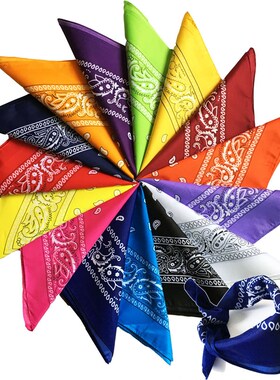 Polyester paisley Square Punk Hip Hop Bandana Neckerchief He