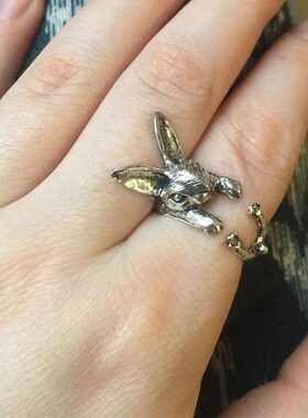 Frog  Toad Animal Rings for Women men Artistic Design Retro