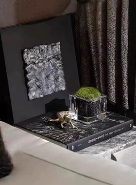 卧室客厅床头柜茶几书柜酒柜挂画小绿植真书蜥蜴金属装饰摆件