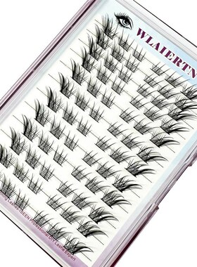 Manga Eyelashes Cluster Eyelashes Cat Eye Lashes Natural lon