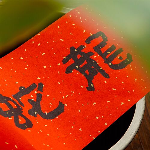 书法春联2025蛇年春节对联大门入户门隶书法乔迁喜联新房结婚过年 - 图0