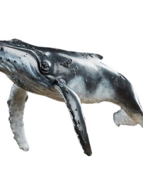 观余艺术纯青铜鲸鱼雕塑办公室客厅玄关家居饰品摆件艺术礼品深蓝