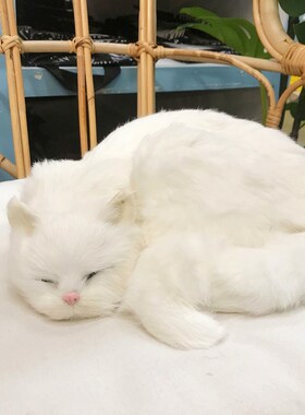 仿真猫咪家居创意摆件样板间软装道具摄影道具装饰品毛绒玩偶