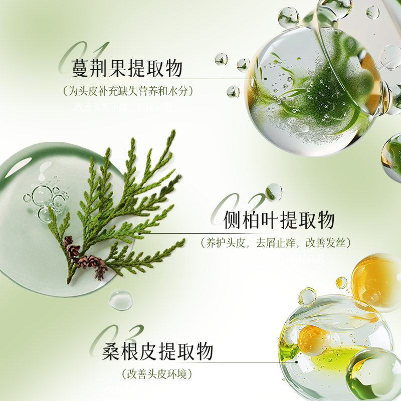 智然界ZIAG氨基酸植萃净护洗发水控油蓬松养护无硅油香氛洗发水,淘宝优惠券,粉丝福利购,淘宝优惠卷