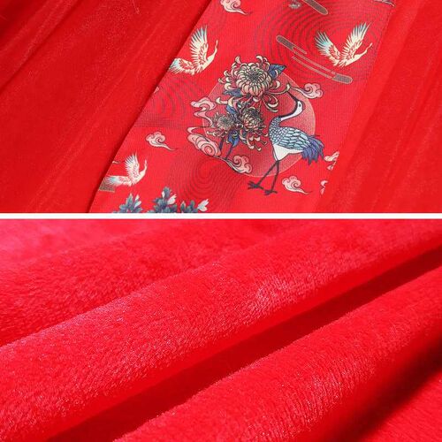 Hanfu Girls Autumn and Winter Childrens Tang Suit New Year - 图1