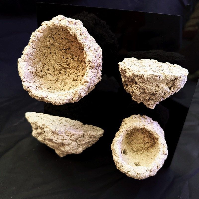 超强磁吸海葵窝海缸强磁铁玻璃壁挂奶嘴窝支架悬浮空地毯鱼缸锐焦,淘宝优惠券,粉丝福利购,淘宝优惠卷