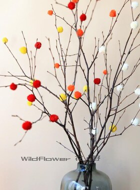 天然枯树枝干枝红色永生花干花艺术客厅卧室玄关前台装饰玻璃花瓶
