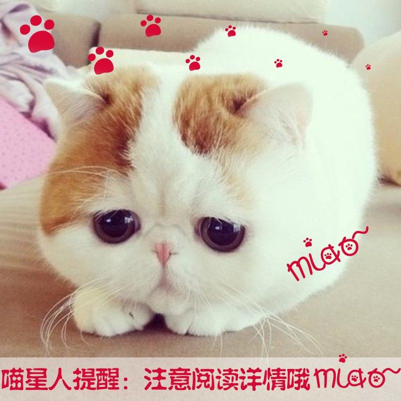 高档绣花蕾丝餐桌布中欧式刺绣茶几布方桌布防尘多用盖巾台布定做,淘宝优惠券,粉丝福利购,淘宝优惠卷