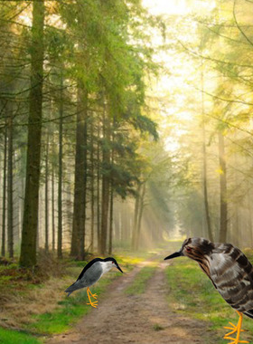 仿真手工羽毛鸟夜鹭黑冠婚纱摄影中式创意落地摆件庭院装饰展厅场