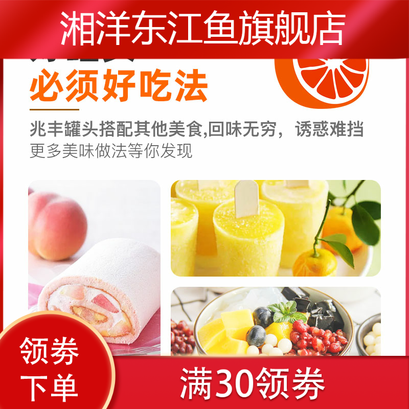新款糖水300g方便速食椰果新鲜罐头 湘洋东江鱼水果罐头