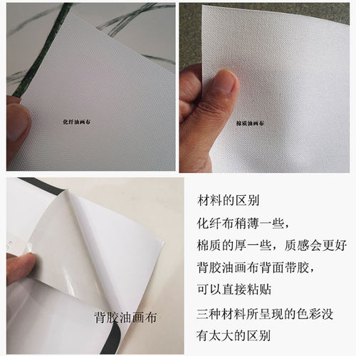 花开富贵自粘装饰画牡丹玄关客厅沙发背景墙壁画防替换画芯 - 图2