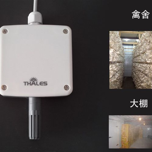 温湿度传感器 温湿度变送器 大棚 菌房 养殖场 室外 高湿环境 - 图1