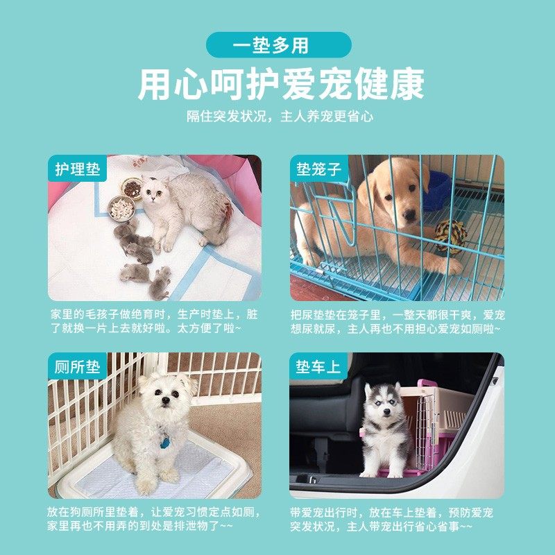 派锐宠物尿垫加厚狗狗尿片吸水除臭狗狗尿不湿吸水垫隔尿垫加厚款,淘宝优惠券,粉丝福利购,淘宝优惠卷