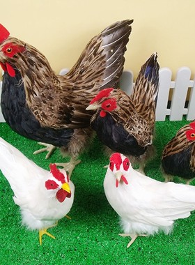 现代时尚摆件仿真鸡羽毛鸡软装饰品田园鸡大母鸡道具农场陈列展厅