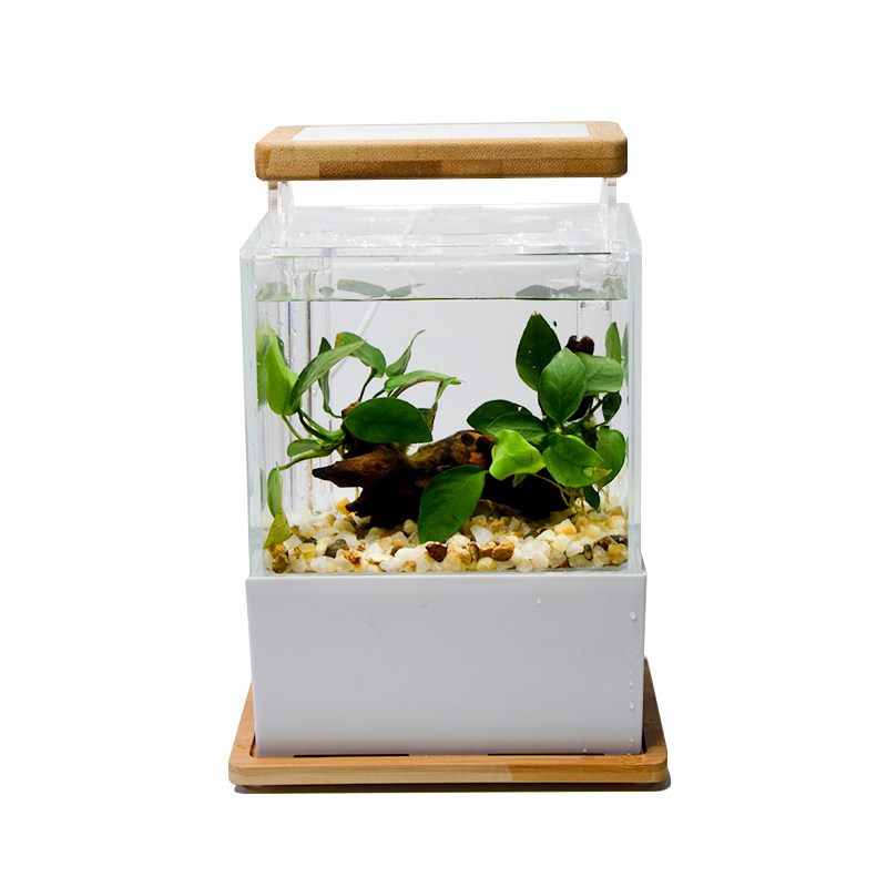 创意缸底滤微缸迷你小鱼缸宿舍桌面淡海水族箱过滤斗鱼生态缸定制,淘宝优惠券,粉丝福利购,淘宝优惠卷