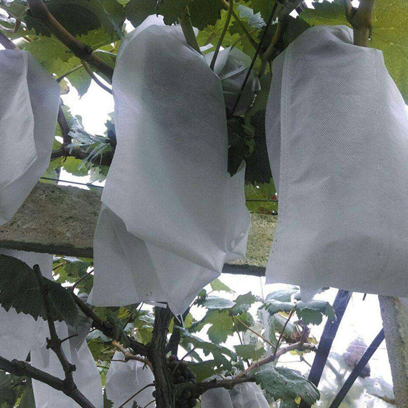 无纺布葡萄袋套袋专用纸袋水果袋防水防雨防虫莲雾保护透气半透明,淘宝优惠券,粉丝福利购,淘宝优惠卷