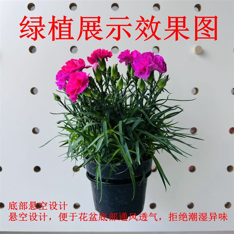 Solid wood hole plate metal conversion plug flower rack blue ball bracket hanger large hole to small hole bracket storage rack accessories