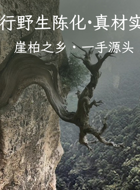 拾木集太行山崖柏陈化高油手串