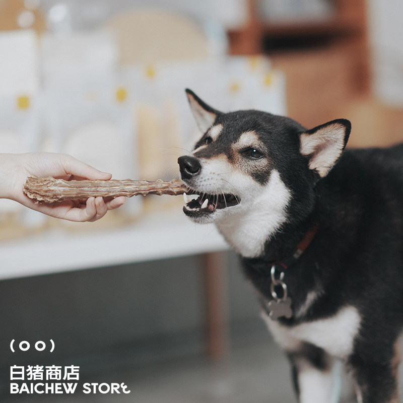 白猪商店 太阳家宠物零食猫咪狗狗风乾肉乾奖励增肥鸡胸肉鸭肉,淘宝优惠券,粉丝福利购,淘宝优惠卷