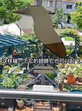 di创意木制会飞翔的海鸥儿童房民宿空中悬挂吊饰逗猫玩具手工艺品