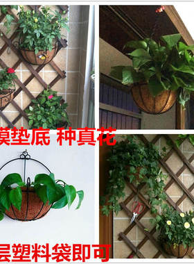 上墙花篮挂墙上挂饰花篮悬挂吊盆式垂吊复古壁挂花盆式免钉掉铁艺