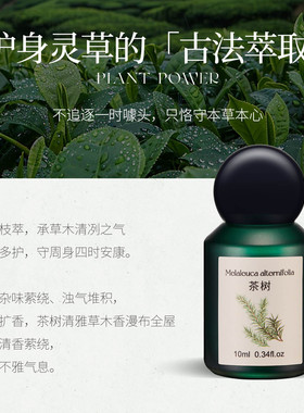 【大娇粉丝专属】xieyan邂言茶树单方精油