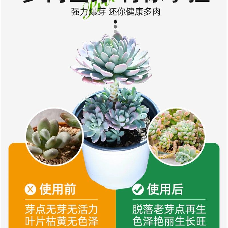 领沃优芽素多肉专用营养液肥料爆芽素促多头测芽细胞分裂素增色,淘宝优惠券,粉丝福利购,淘宝优惠卷