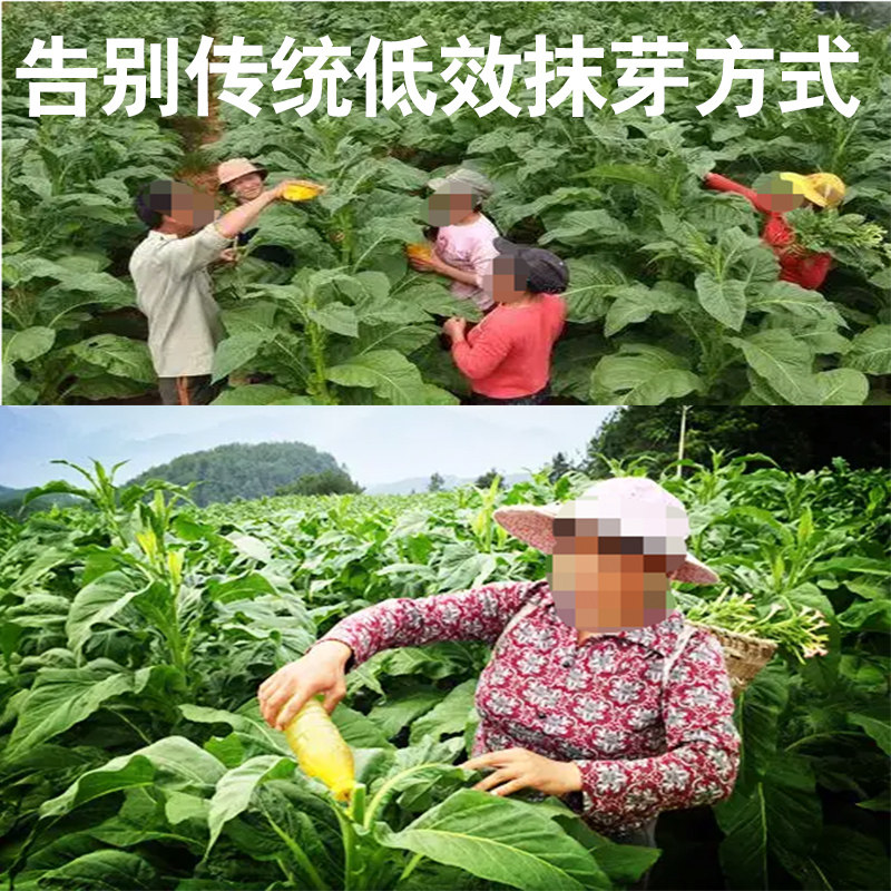 电动烟草抑芽器电动烟草抹芽点芽器点花器除芽器打芽器滴芽器锂电,淘宝优惠券,粉丝福利购,淘宝优惠卷