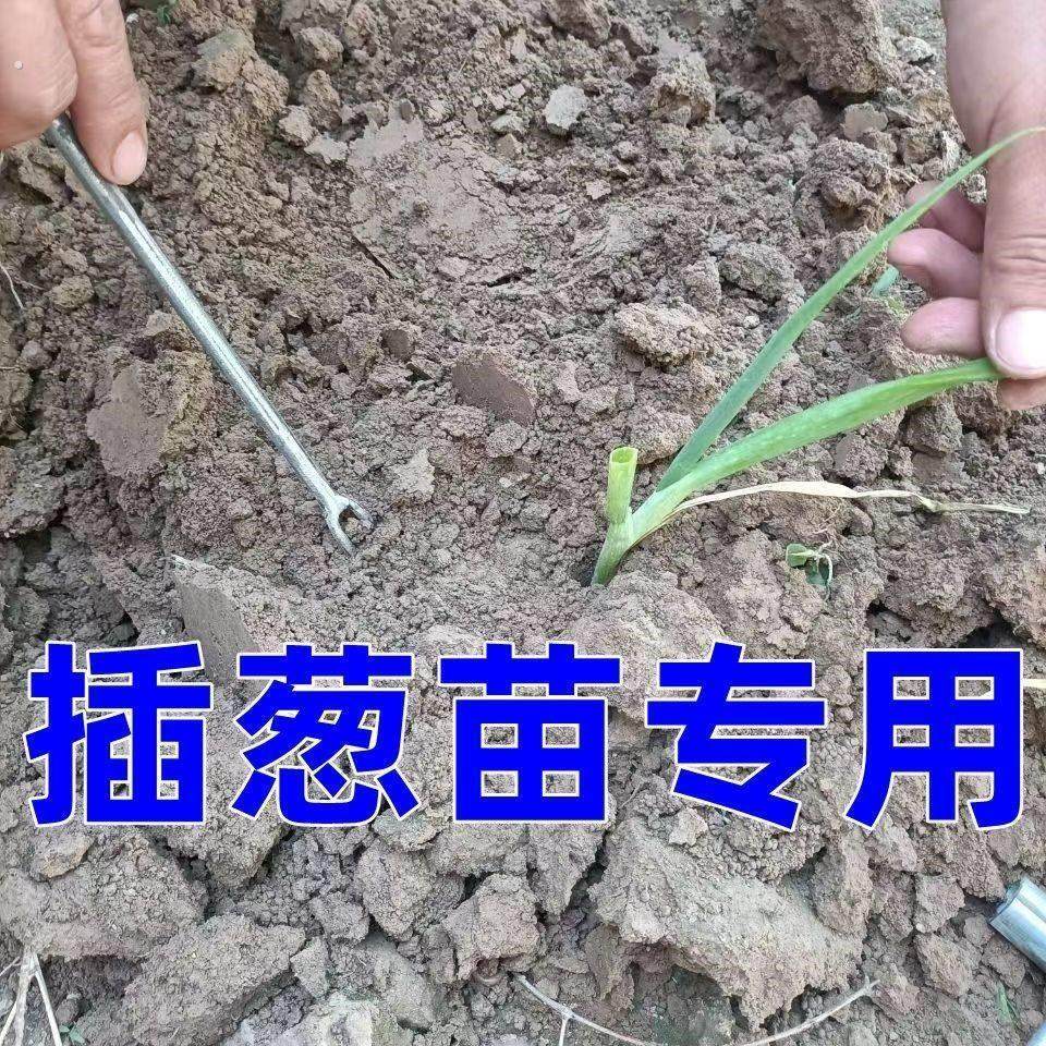 栽葱神器栽葱专用农具栽地瓜神器新款葱叉子新款栽苗神器工具插葱,淘宝优惠券,粉丝福利购,淘宝优惠卷