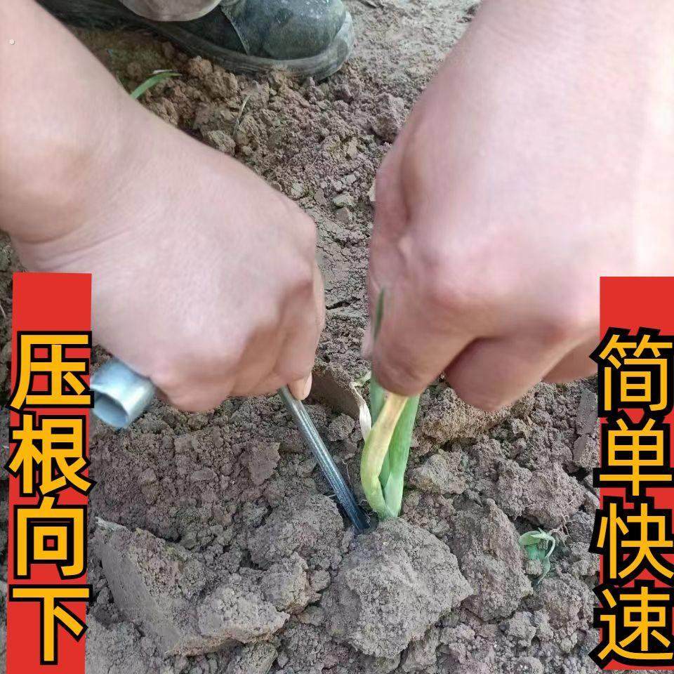 栽葱神器栽葱专用农具栽地瓜神器新款葱叉子新款栽苗神器工具插葱,淘宝优惠券,粉丝福利购,淘宝优惠卷