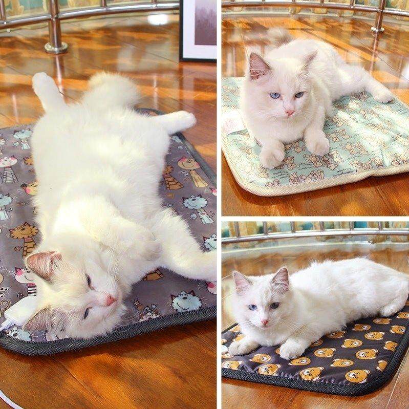 发热孵化狗狗蜜袋鼯替代品鹦鹉专用电热毯加热垫保温毯取暖器鸟类,淘宝优惠券,粉丝福利购,淘宝优惠卷