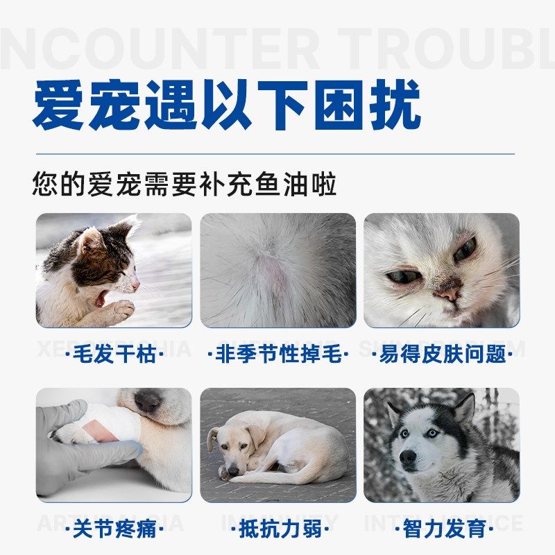 宠元的欧卡宠物深海鱼油软胶囊狗狗猫咪专用99%浓度美毛靓毛,淘宝优惠券,粉丝福利购,淘宝优惠卷