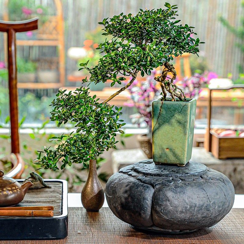 陋石坊庭院仿石墩子底座花园造景布置中式园林仿古做旧装饰摆件,淘宝优惠券,粉丝福利购,淘宝优惠卷