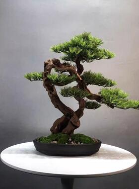 仿真迎客松盆景新中式罗汉松假树造景玄关桌几过道装饰样品房摆件