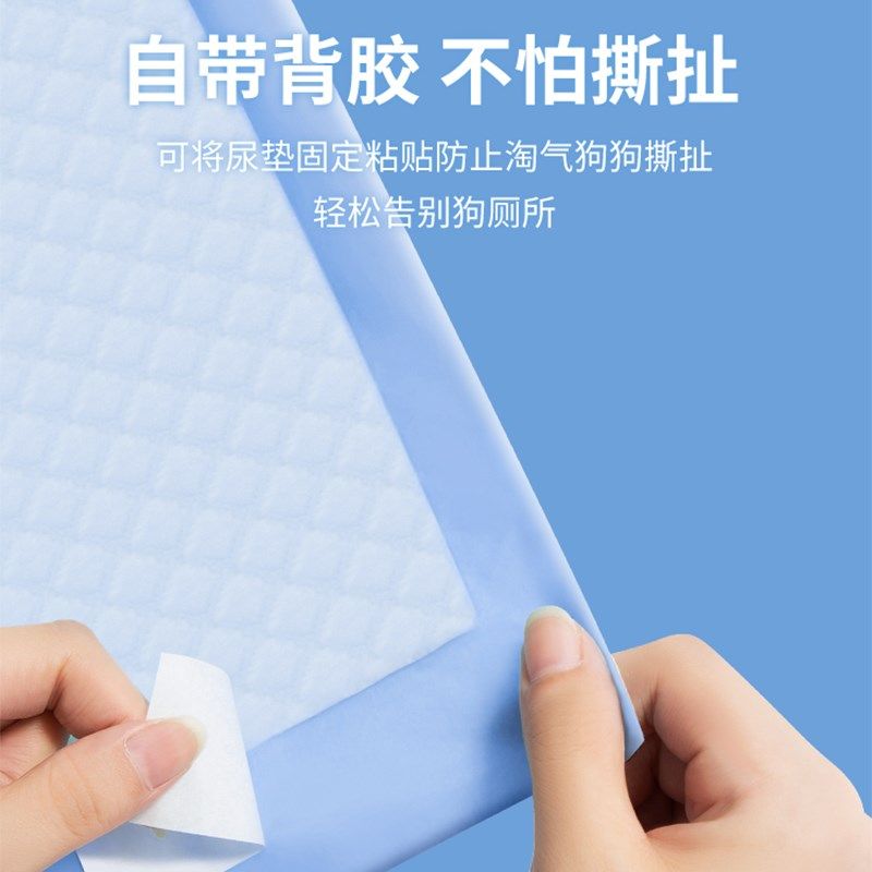 比熊宠物狗尿垫一次性隔尿垫加厚吸水诱导因子定点排便引导上厕所,淘宝优惠券,粉丝福利购,淘宝优惠卷