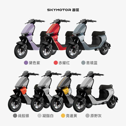 【S级电自】首驱电动Sz 110智能长续航电动自行车男女通勤用 - 图3