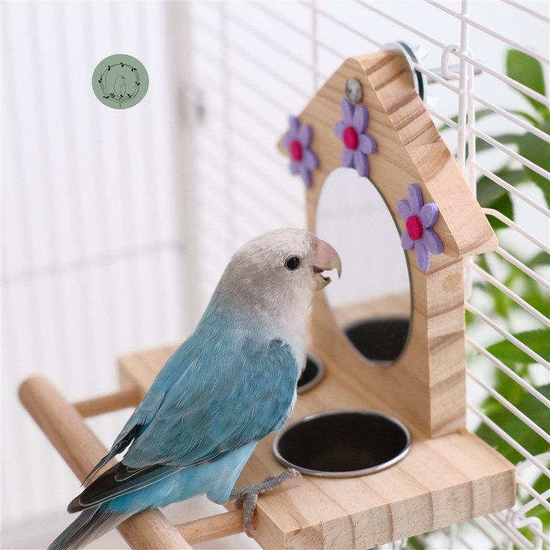 鹦鹉镜子食盒食盆防撒防溅鸟笼内挂牡丹玄凤虎皮专用站架解闷玩具,淘宝优惠券,粉丝福利购,淘宝优惠卷