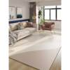 Genuine leather carpet scrubbing bedroom living room full floor mat Pvc waterproof anti-slip coffee table floor mat entrance door not washable