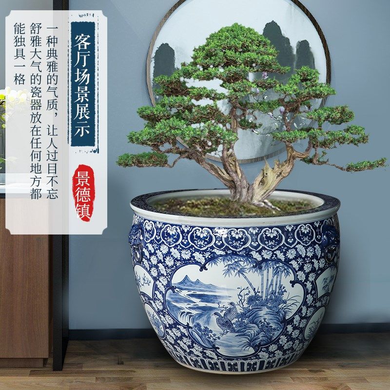 陶瓷庭院大缸种树养鱼盆荷花睡莲锦鲤缸特大号招财狮耳青花瓷门海,淘宝优惠券,粉丝福利购,淘宝优惠卷