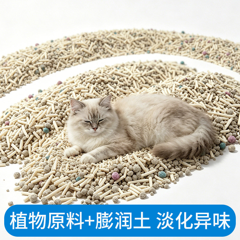 图 3