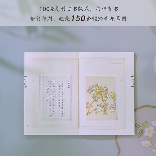 时代华语出版 一蓑烟雨任平生 苏轼词 全三册 百岁叶嘉莹全面解读苏轼词 李清照词 秦观词 随书附赠叶嘉莹珍贵吟诵音频 - 图3